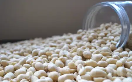 Geblancheerde-pindas-dehorecabox-noten-pitten-zaden-gezond