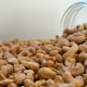 Geroosterde-cashews-dehorecabox-noten-pitten-zaden-gezond