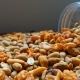 Horecamix-pindas-rijstcrackers-katjangpedis-borrelnoten-dehorecabox-noten-pitten-zaden-gezond