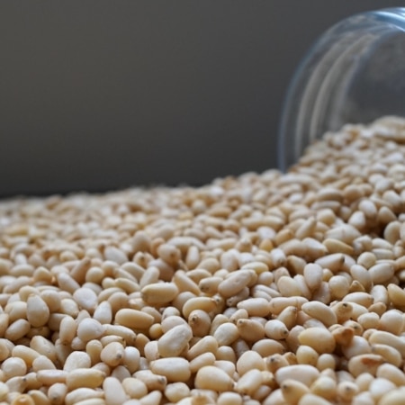 Pijnboompitten-dehorecabox-noten-pitten-zaden-gezond