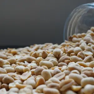 Pindas-dehorecbox-noten-pitten-zaden-gezond-vegan