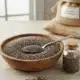 chia zaad kopen